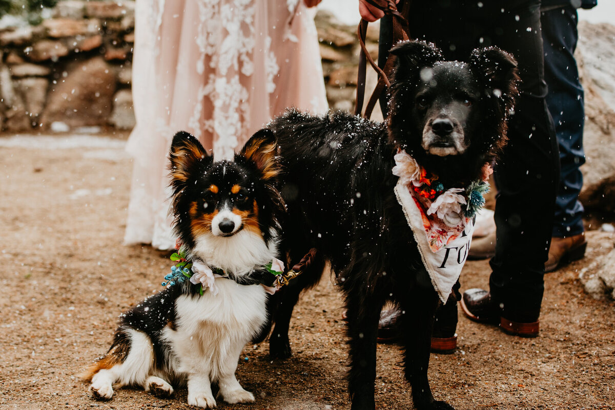 Tony + Andrea Elopement_Ceremony-23