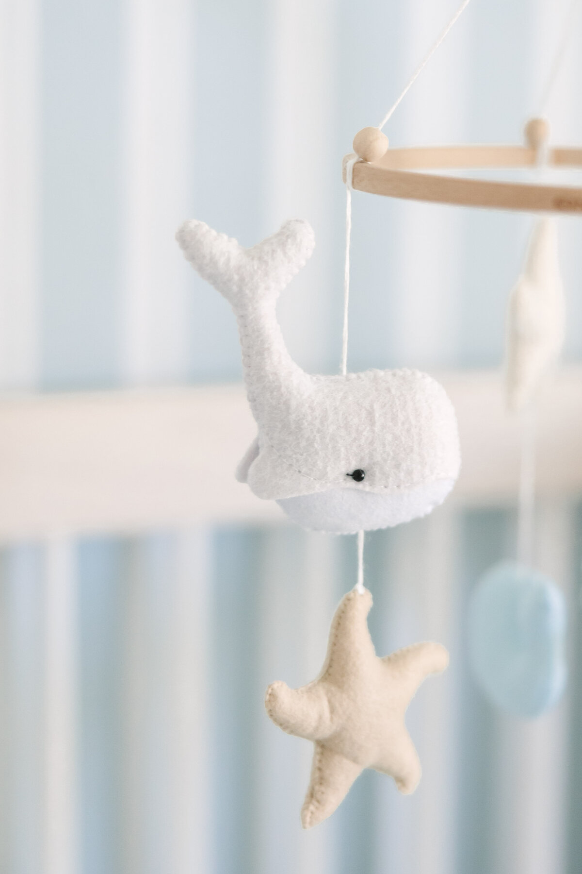 Newell Newborn - Theo-21