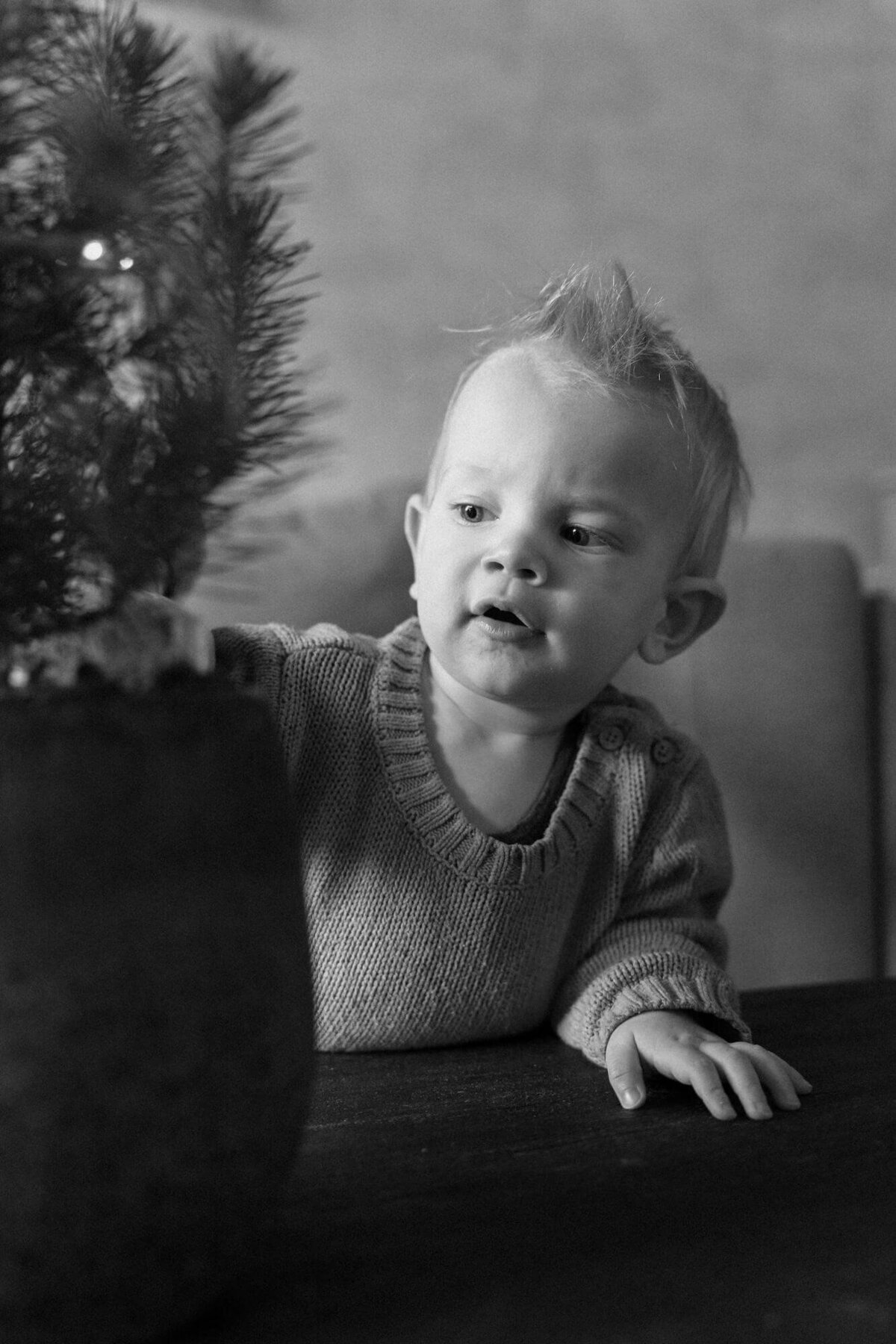 gezin fotoshoot door Julia de Groot fotografie