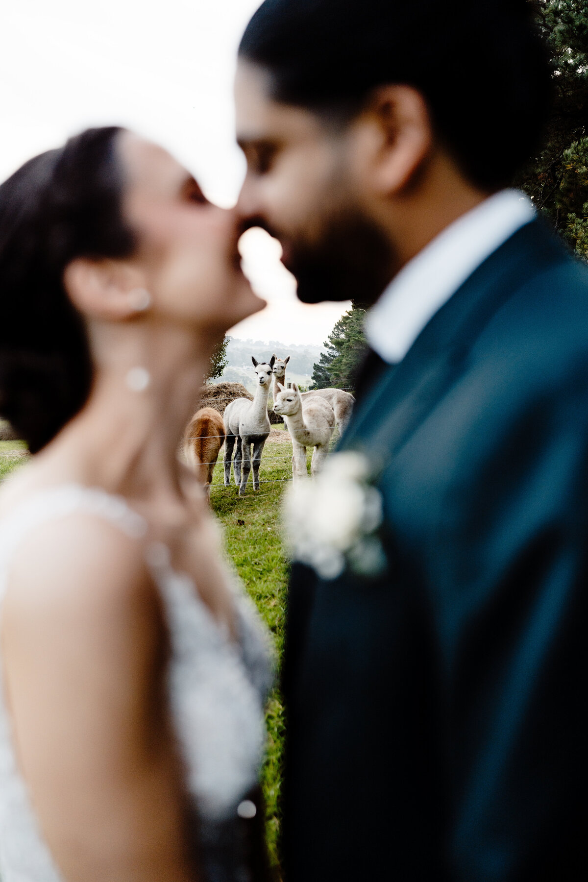 Vue_On_Halcyon_Wedding
