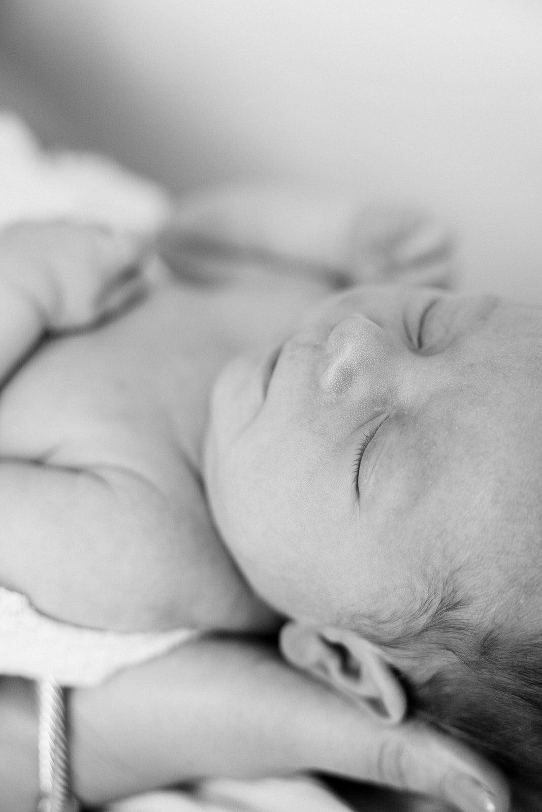 CORNELIA ZAISS PHOTOGRAPY SOPHIA NEWBORN SESSION 185_websize
