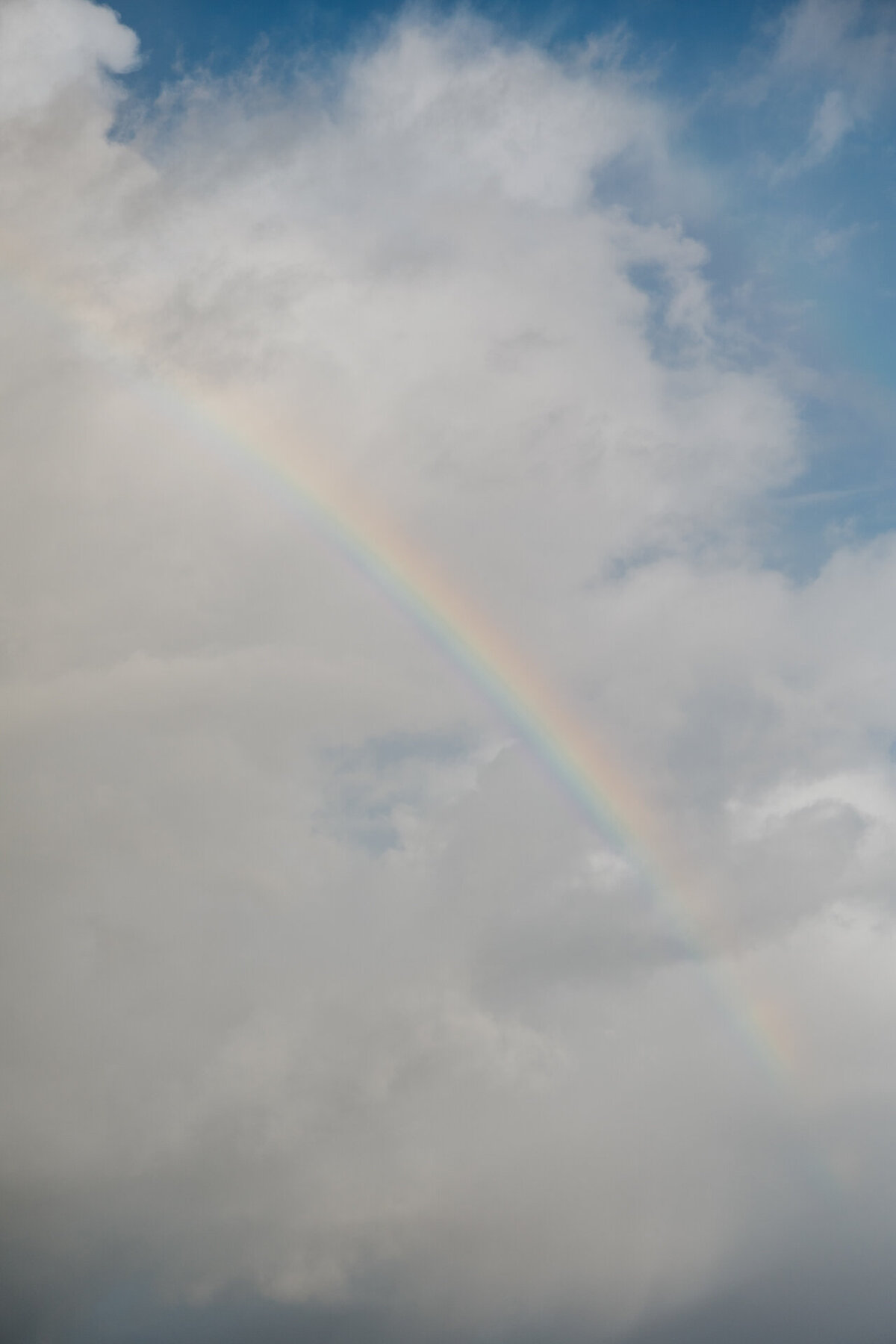 Deli&Joell-JBCreative-13