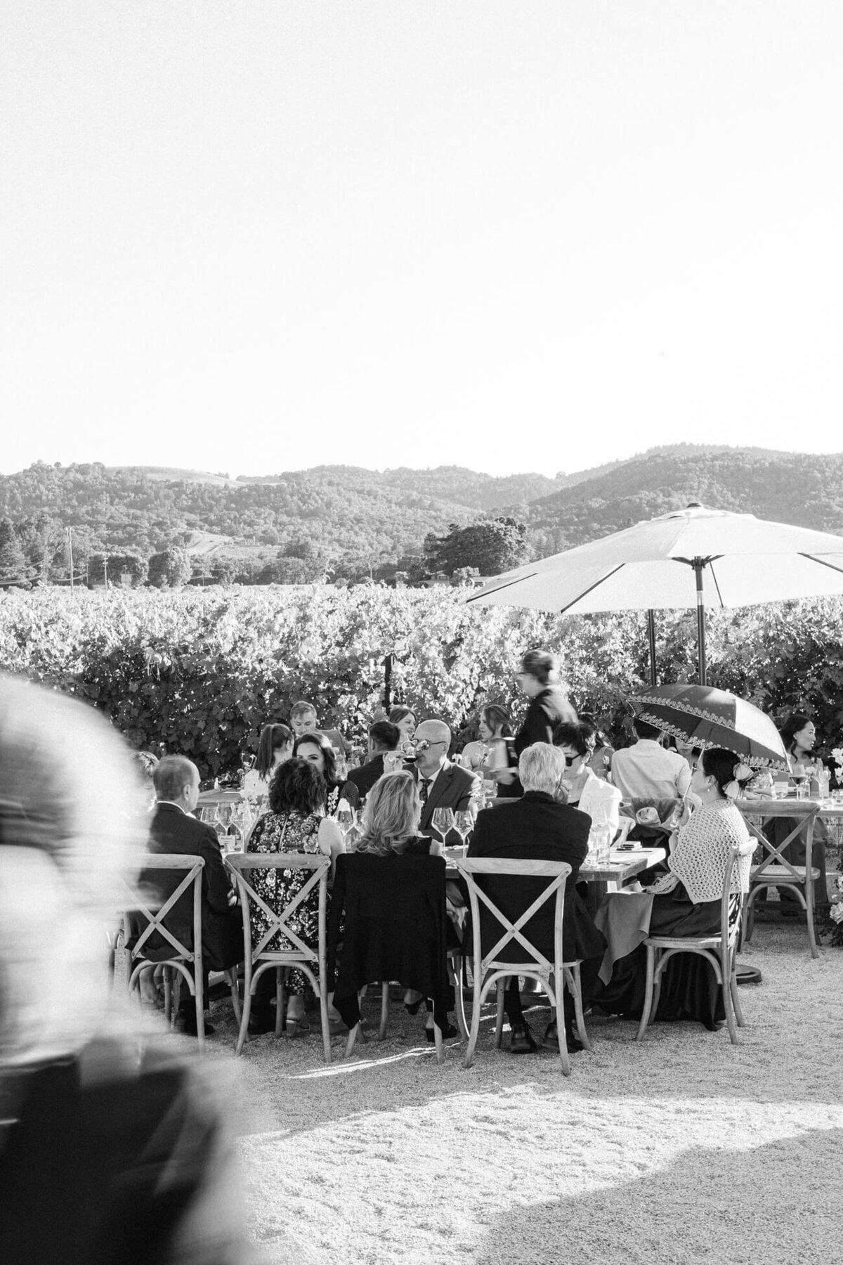 Napa Valley Wedding- Natalie Renee Photography_0077