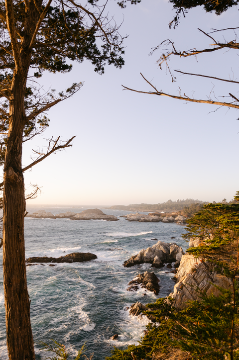 462547205_8930433393658232_8426416666134998423_n