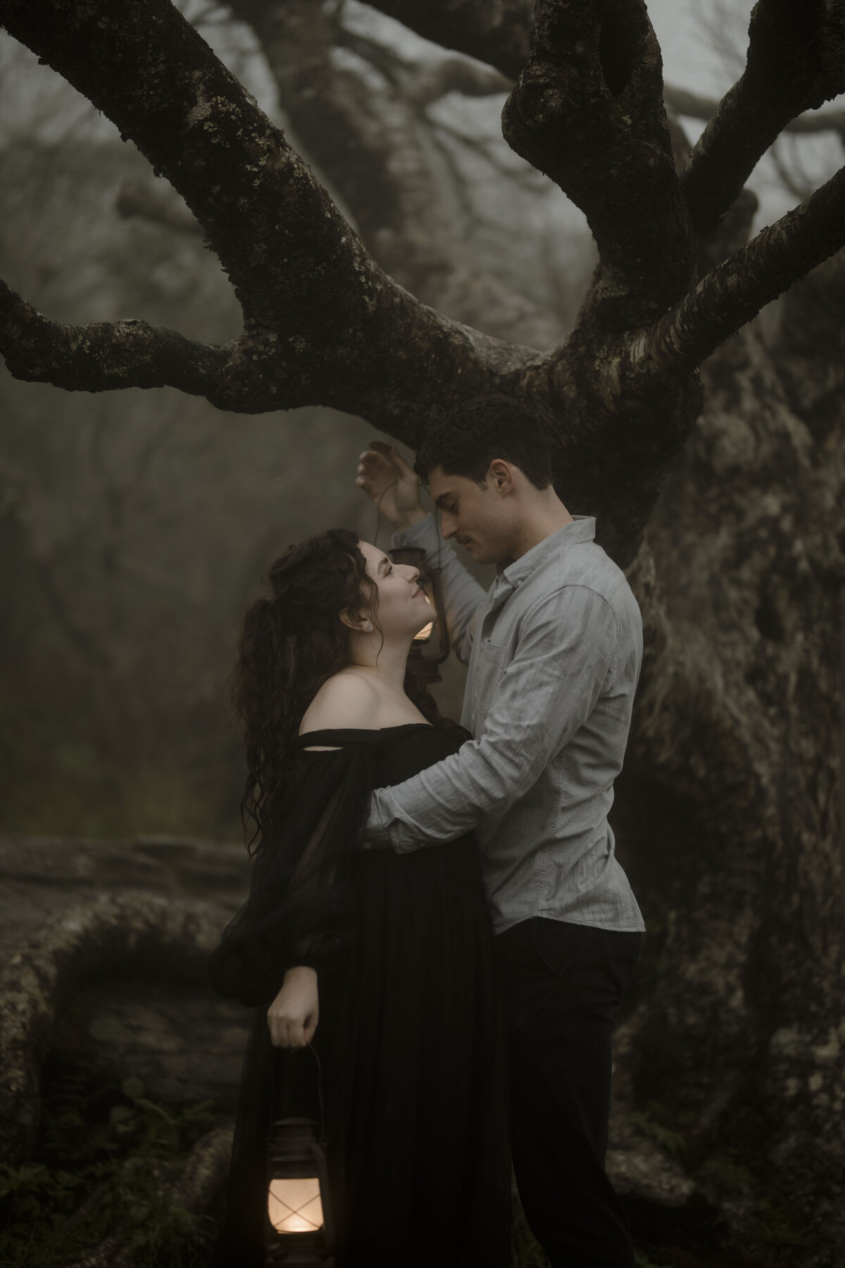 smoky mountain photographer (13)