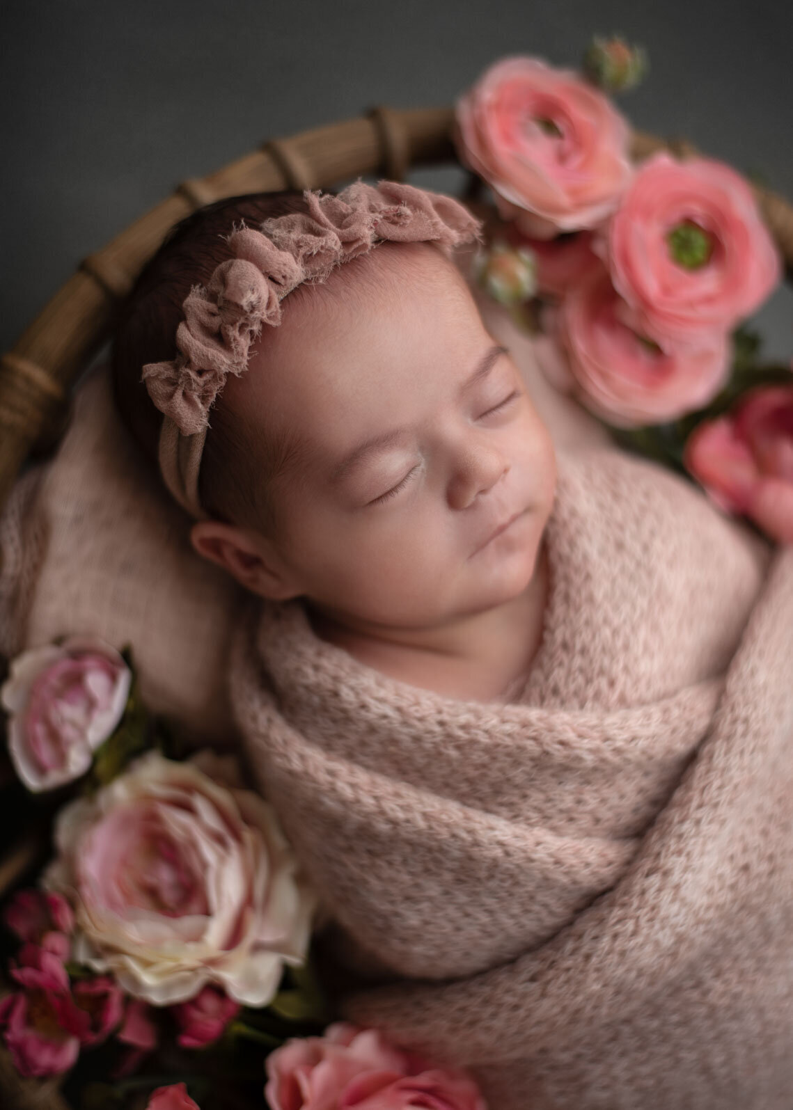 St-louis-newborn-photographer-4352