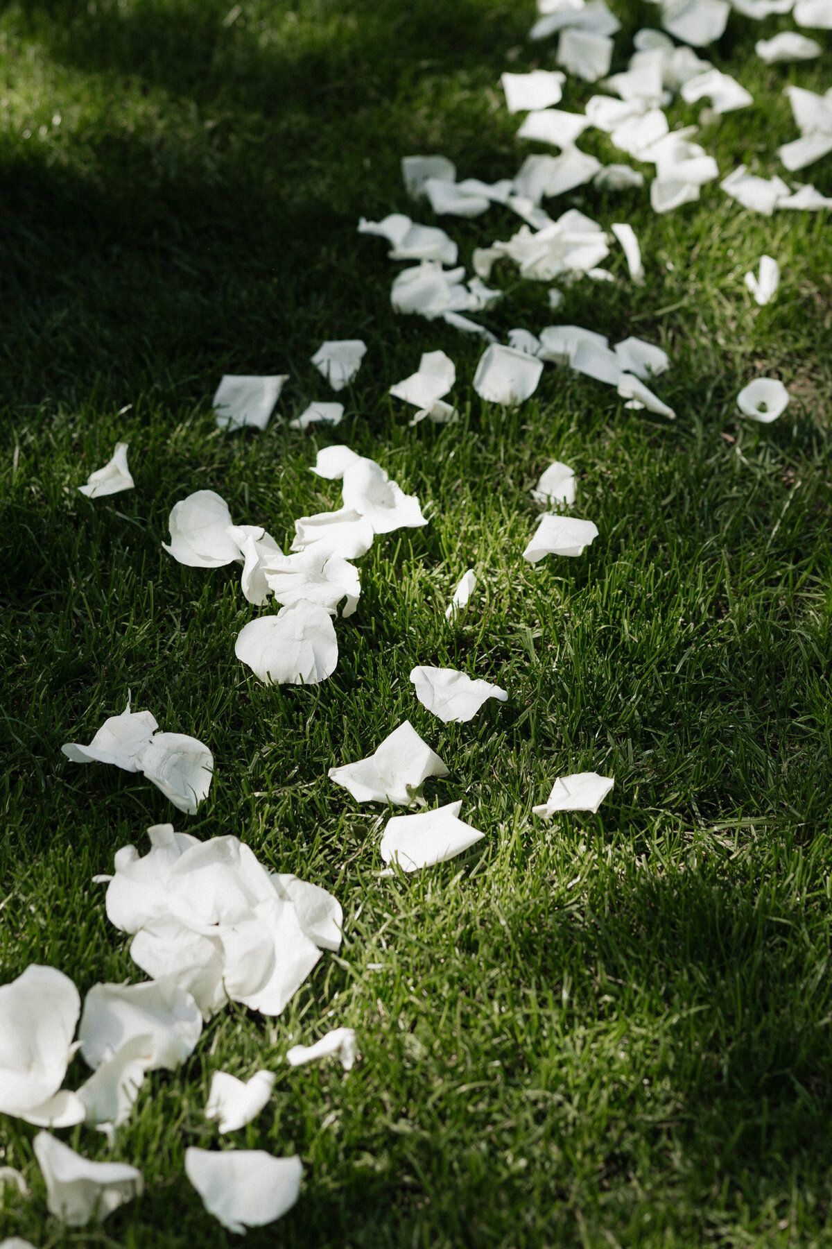 hayleyconnorwedding-244