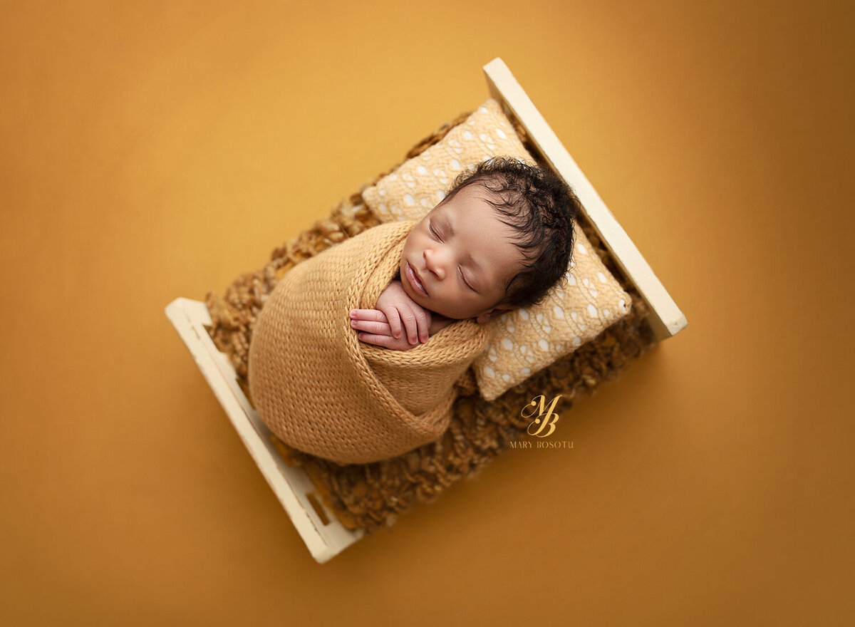 best Maryland newborn photographer, Baltimore newborn photographer, newborn photography near me, newborn portraits Crofton MD, professional baby photos