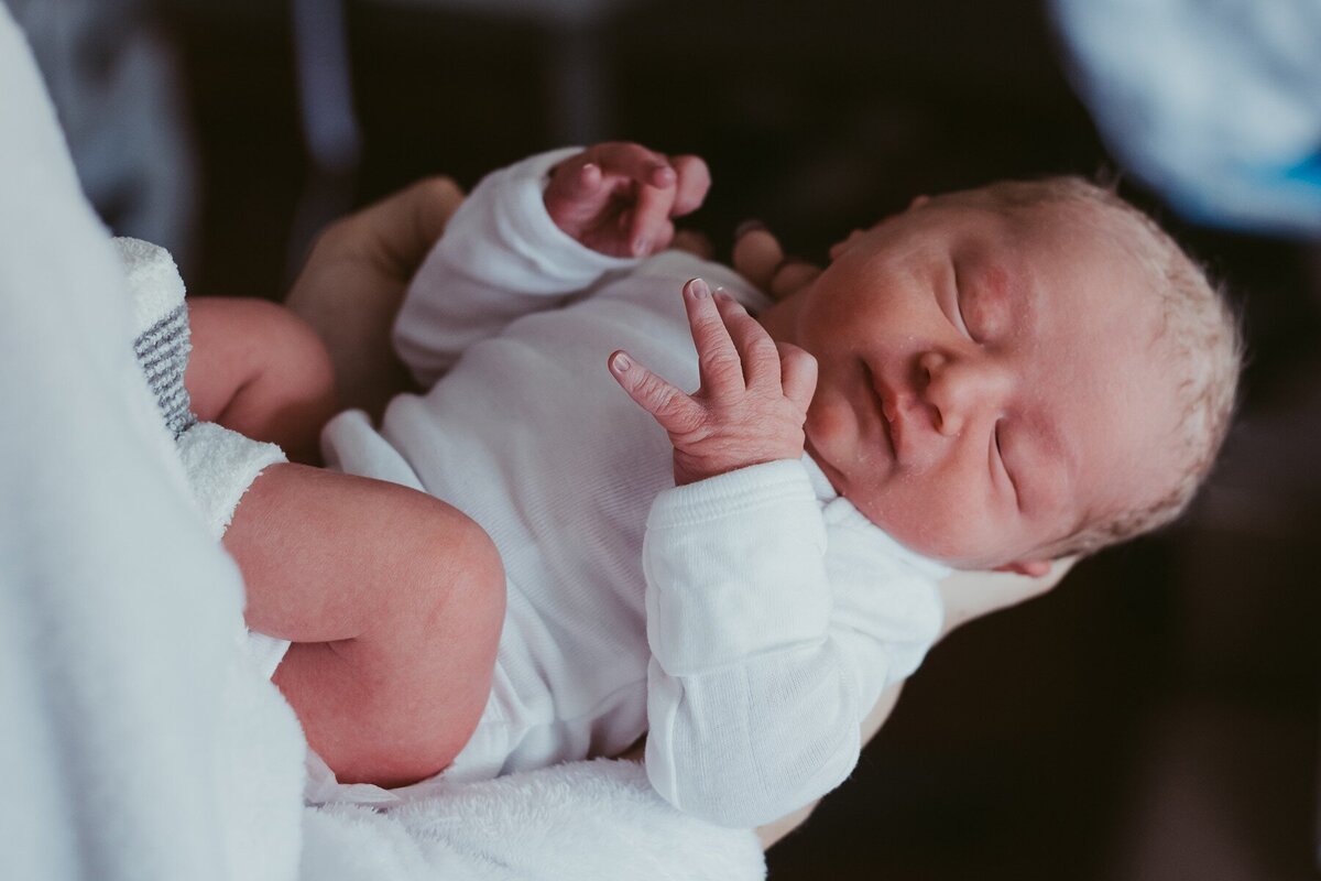 haley carney photography birth photography kankakee illinois