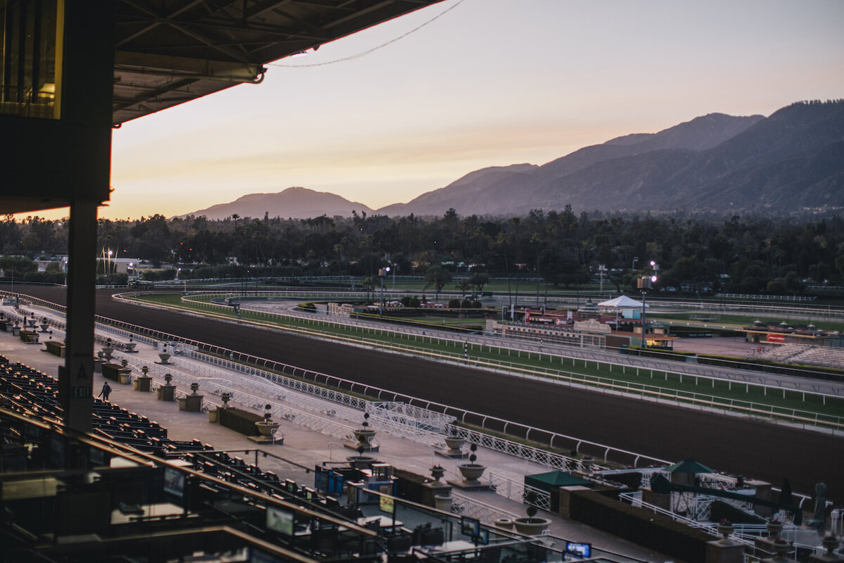 Santa-Anita-Race-Track-Wedding81