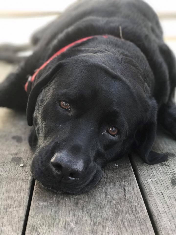 Young River Close Up