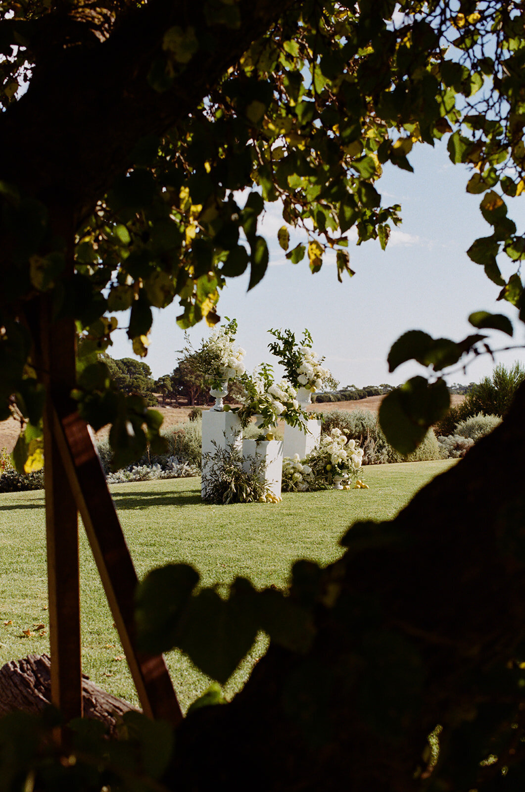 Sammy Ashton 35mm-5_websize