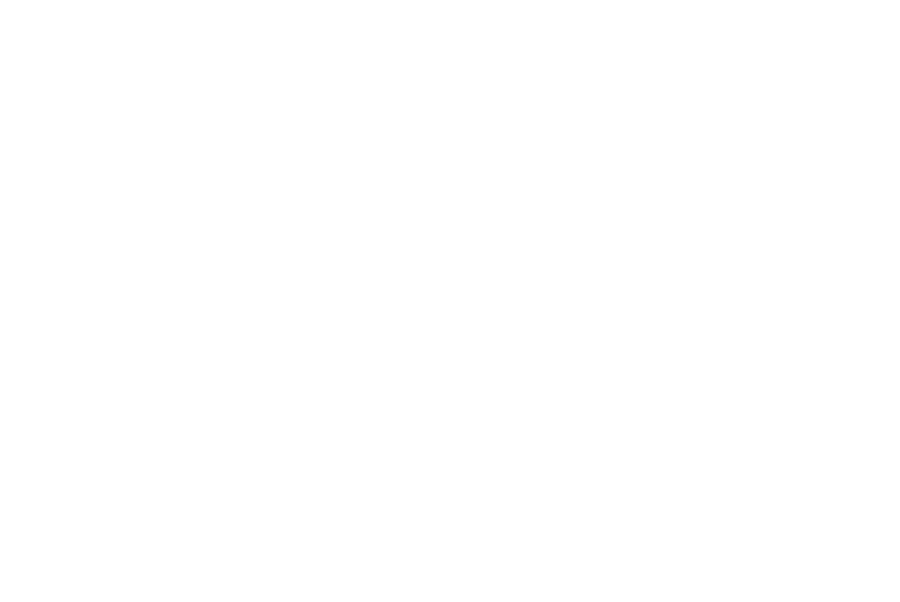 Rachael Mattio Photography logo, elegantly showcasing the brand name of a Virginia Wedding Photographer.