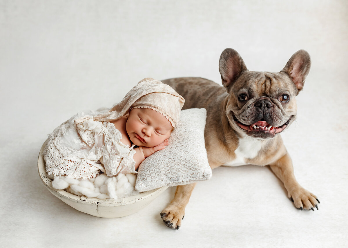 nj-marlboro-newborn-photographer11