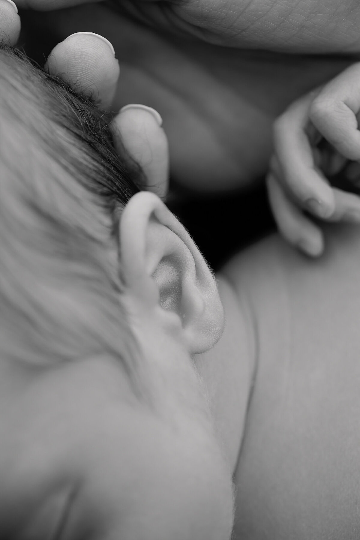 NW Arkansas motherhood photographer, NW Arkansas newborn photographer, NW Arkansas maternity photographer, NW Arkansas Family photographer