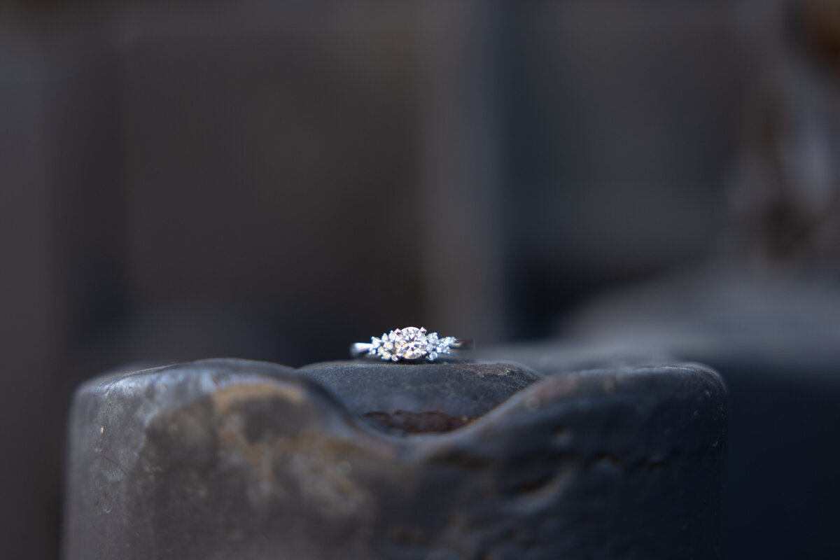 MooreEngagement-26