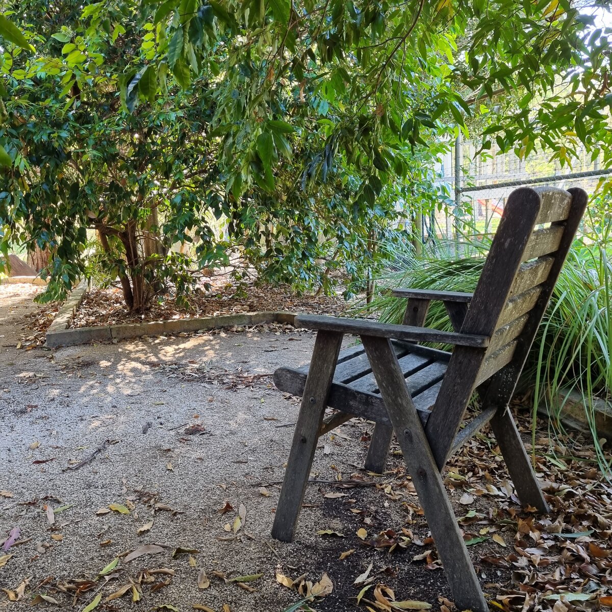 Quiet seat under the trees