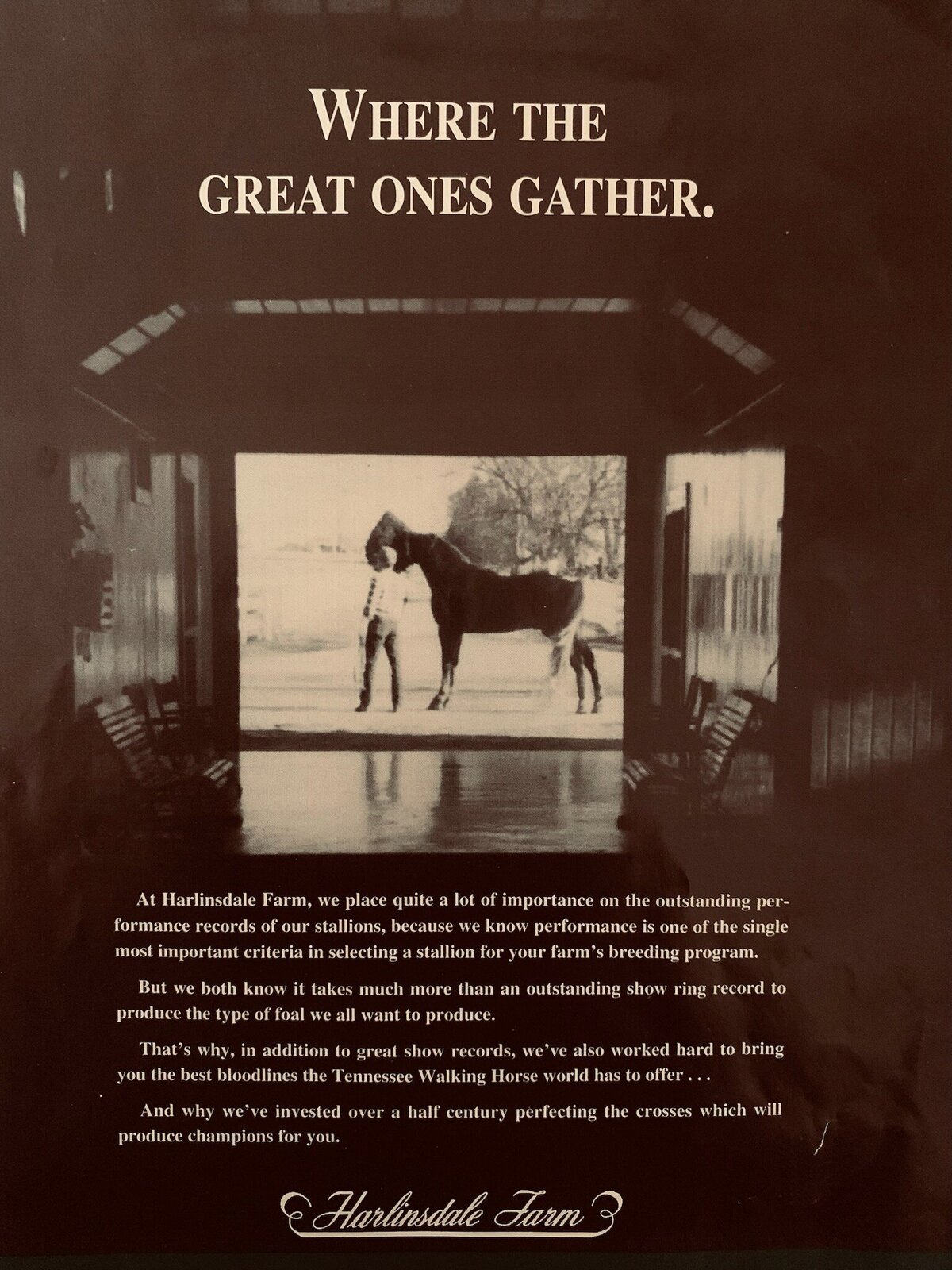 5O Where the Great Ones Gather
