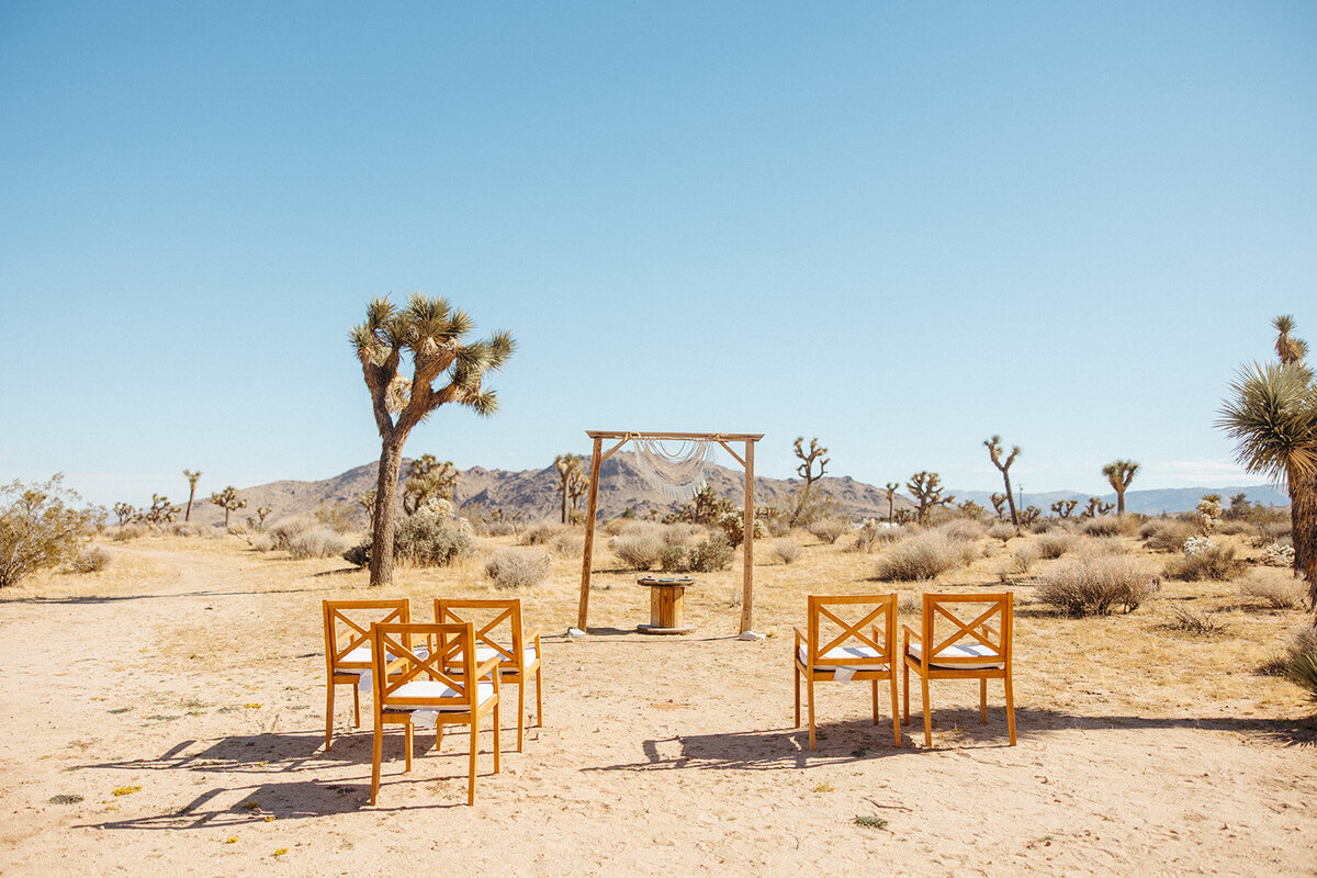 Joshua tree photographer