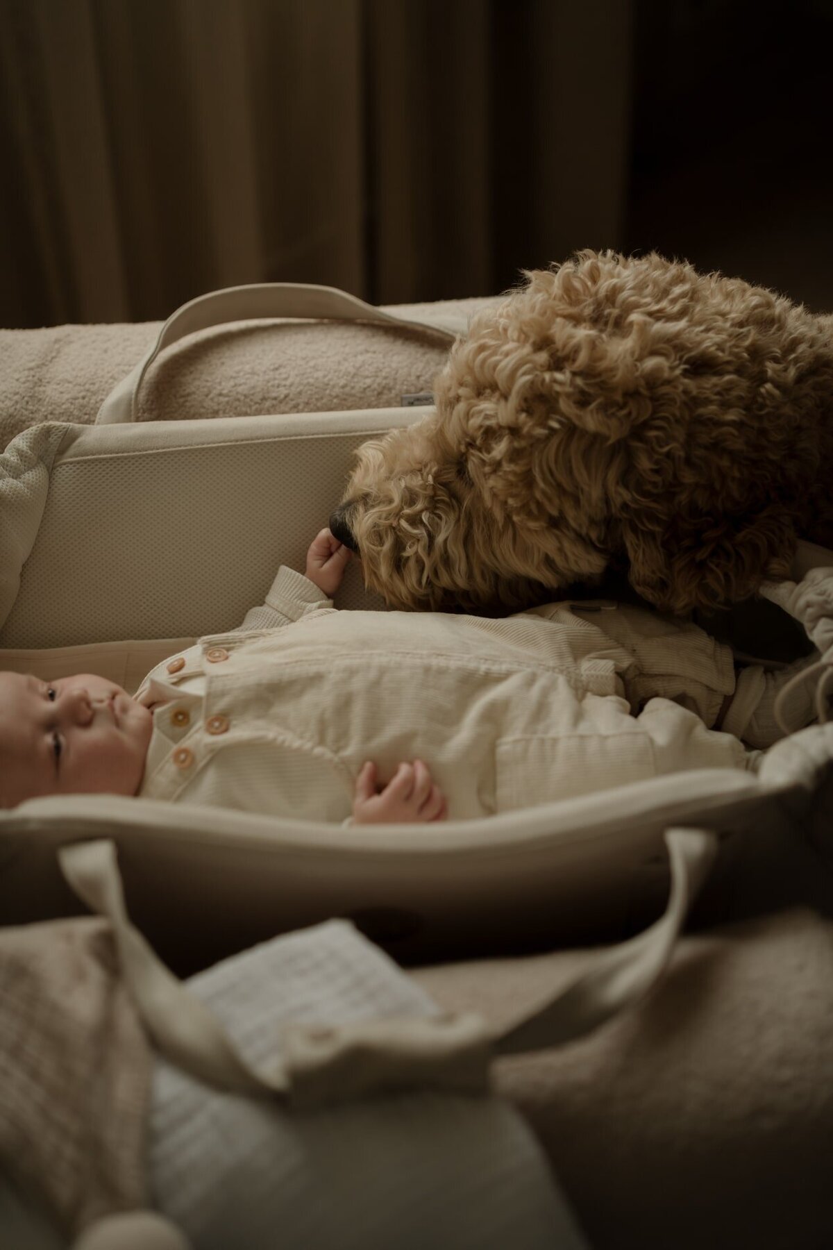 1-BEAUABO-DS301921-min