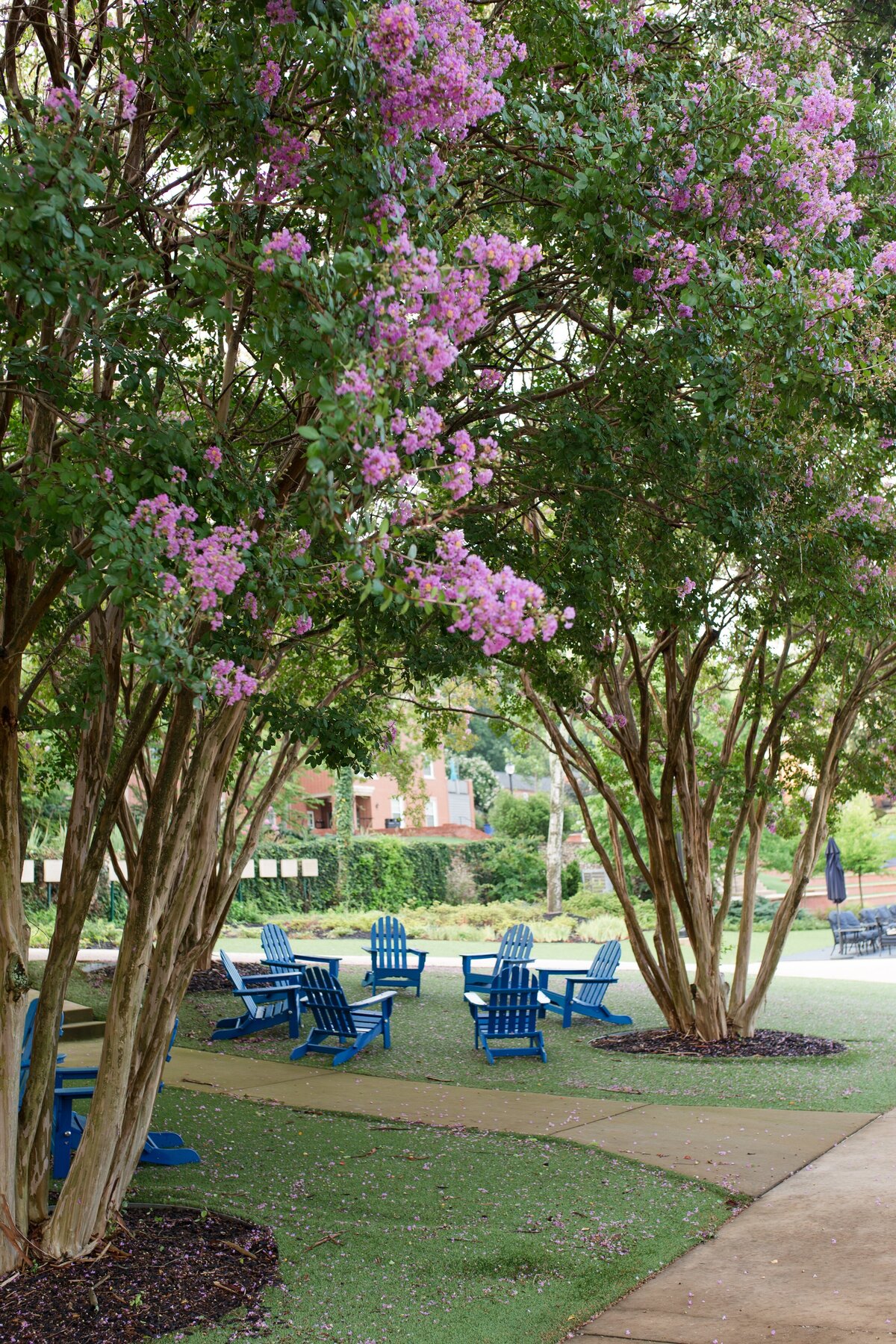 McCallieCampus_Aug2022_RynLoren-69