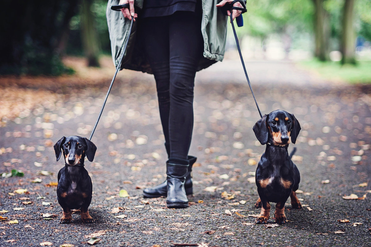 Lifestyle portrait photography (5 of 58)