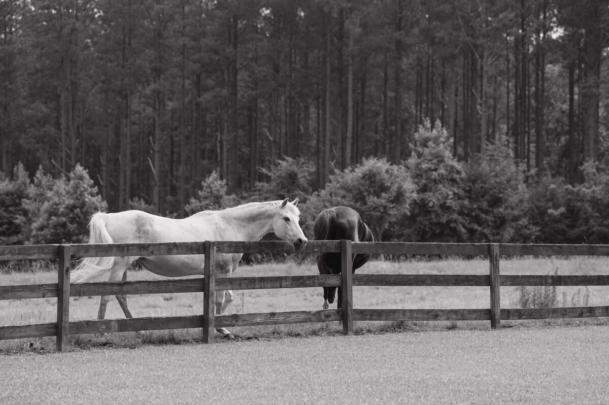 LAURENBPHOTOGRAPHY-067