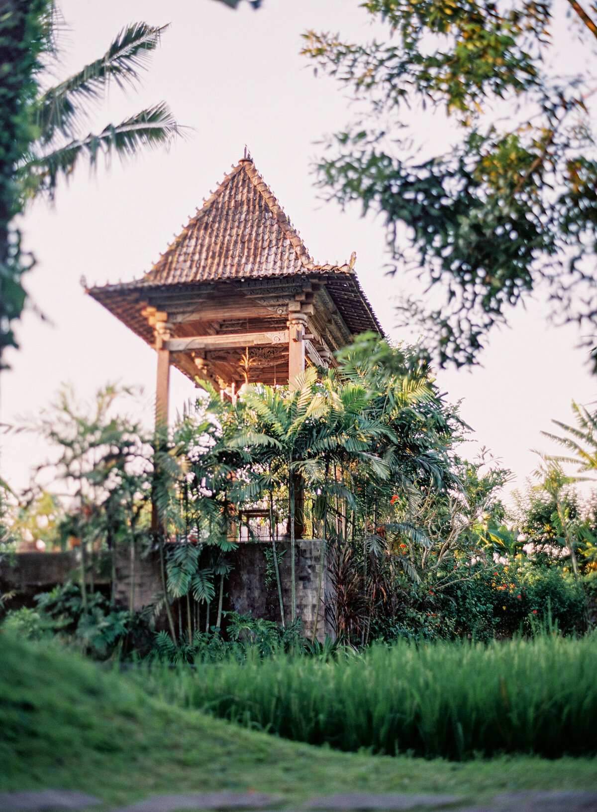 Alaya Resort Ubud Tropical Bali Micro Wedding Elopement Insporation- Vi388