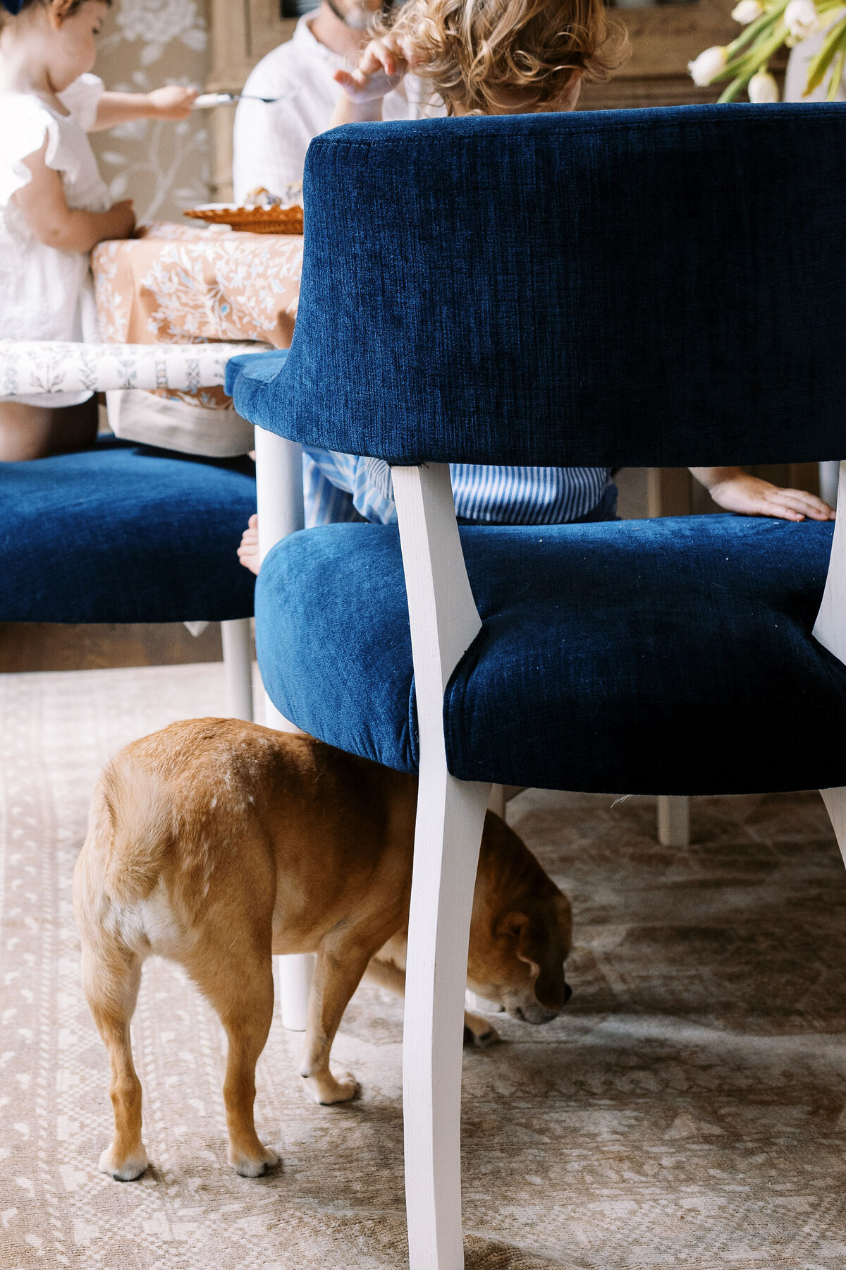 Top Interior Design Photographer, Weeth Home_166977