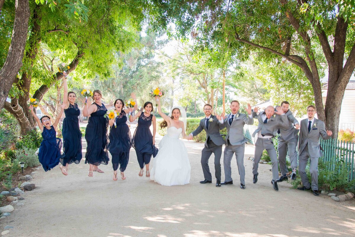 0709Maria-McCarthy-Photography-wedding-bridal-party-jump