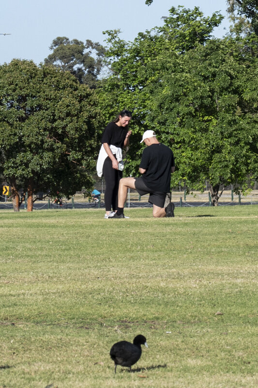 Surprise-Proposal-Liminal-Wonderland-Melbourne015