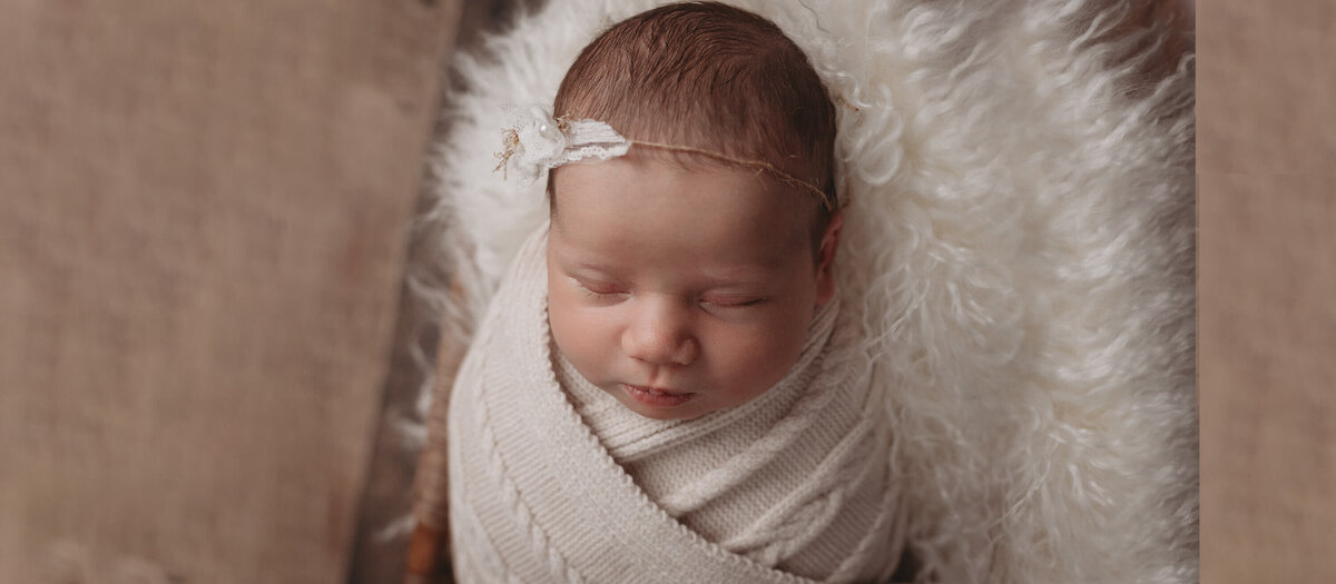 Newborn baby girl sleeping in a basket during newborn photography session with Lauren Vanier Photography