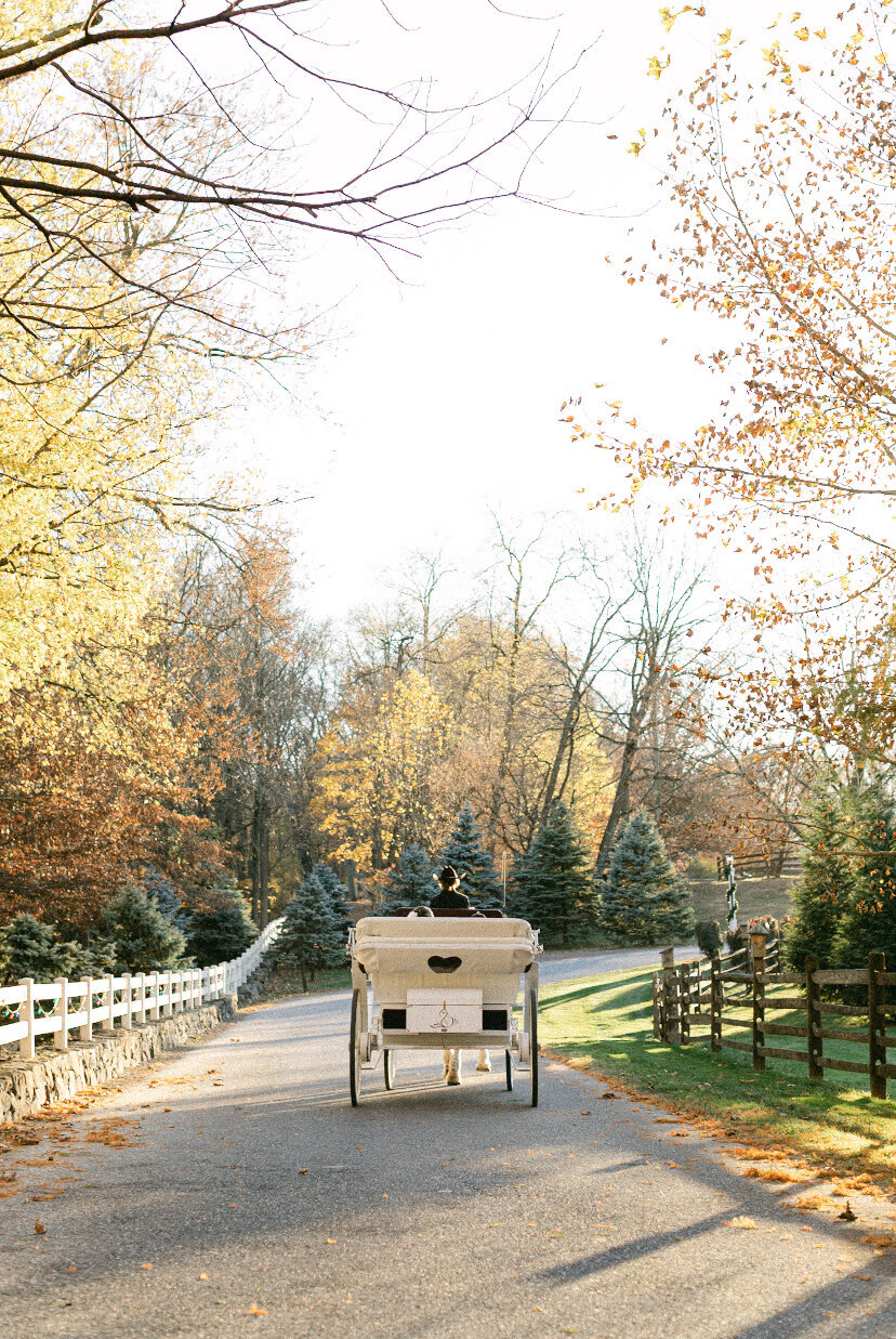 timeless-wedding-photo-editing-light-style