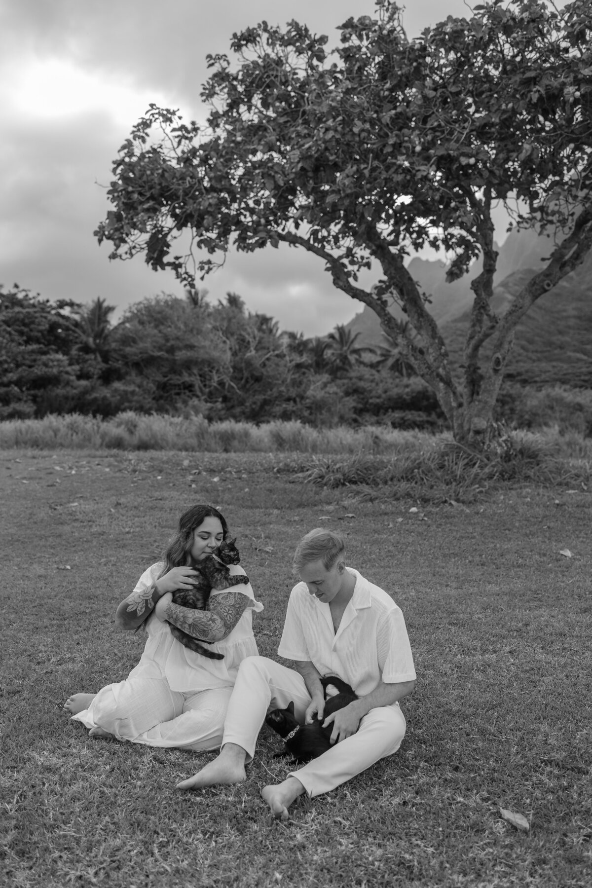 kualoa-beach-park-couples-photoshoot-with-cats-35