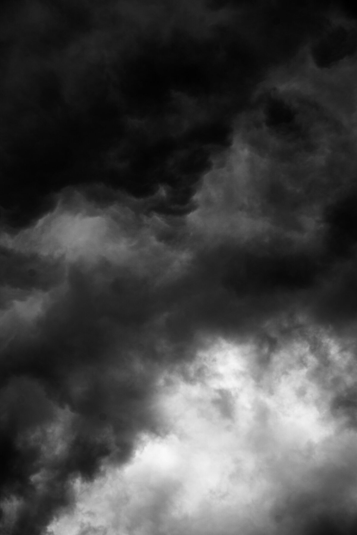 DSC09561