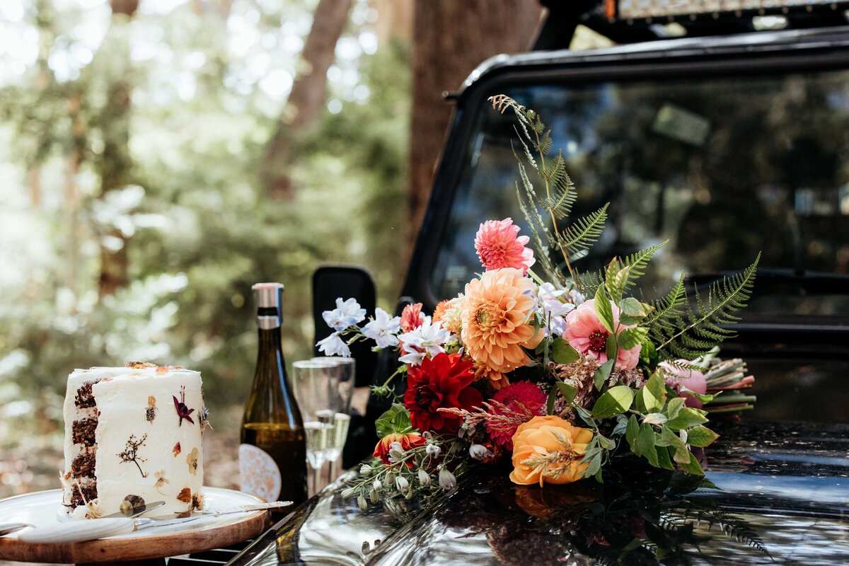 Forest-Elopement-Pemberton-21