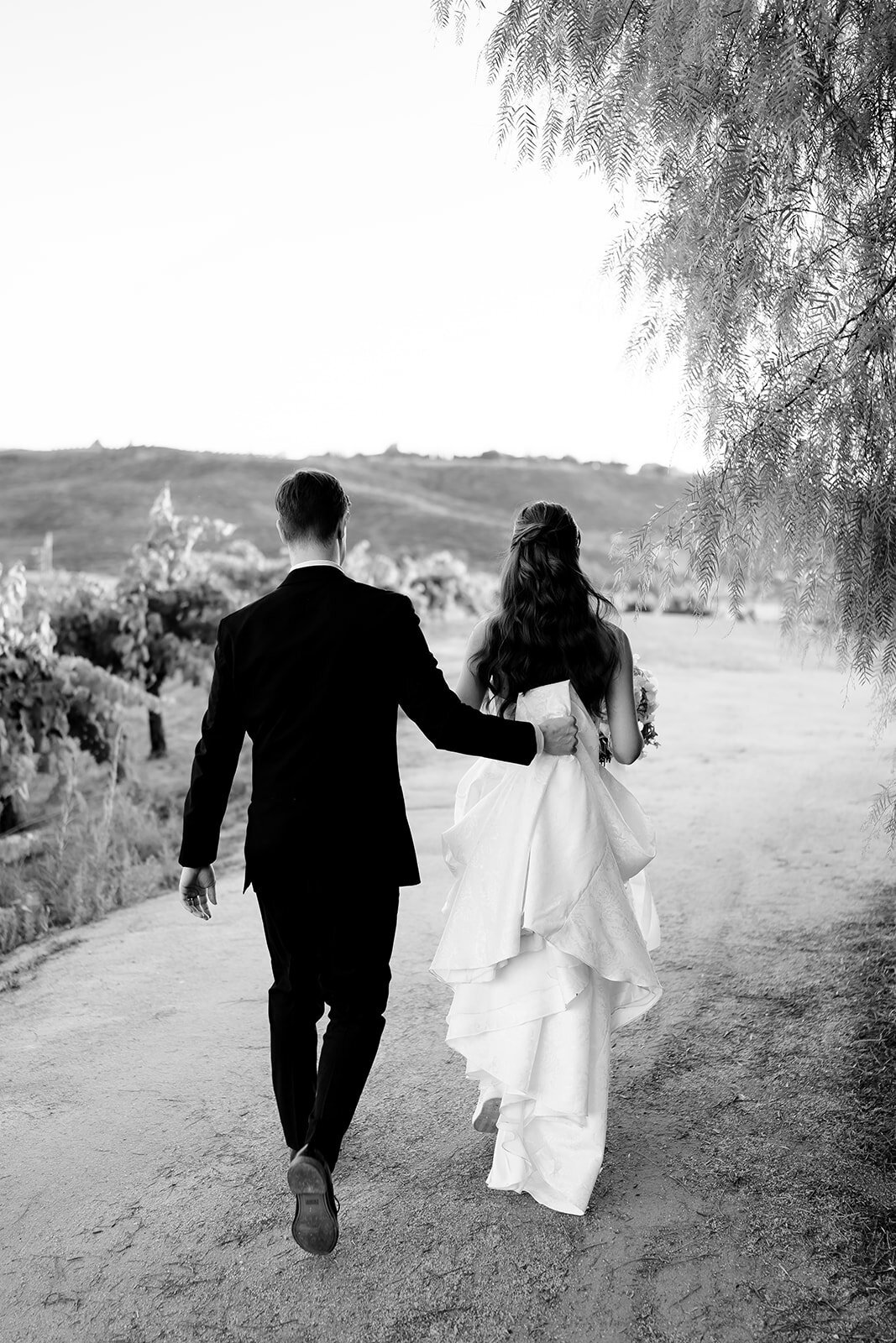 falkner winery wedding 164