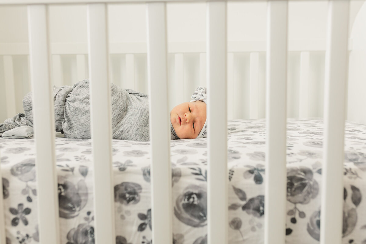 colorado family photographer
