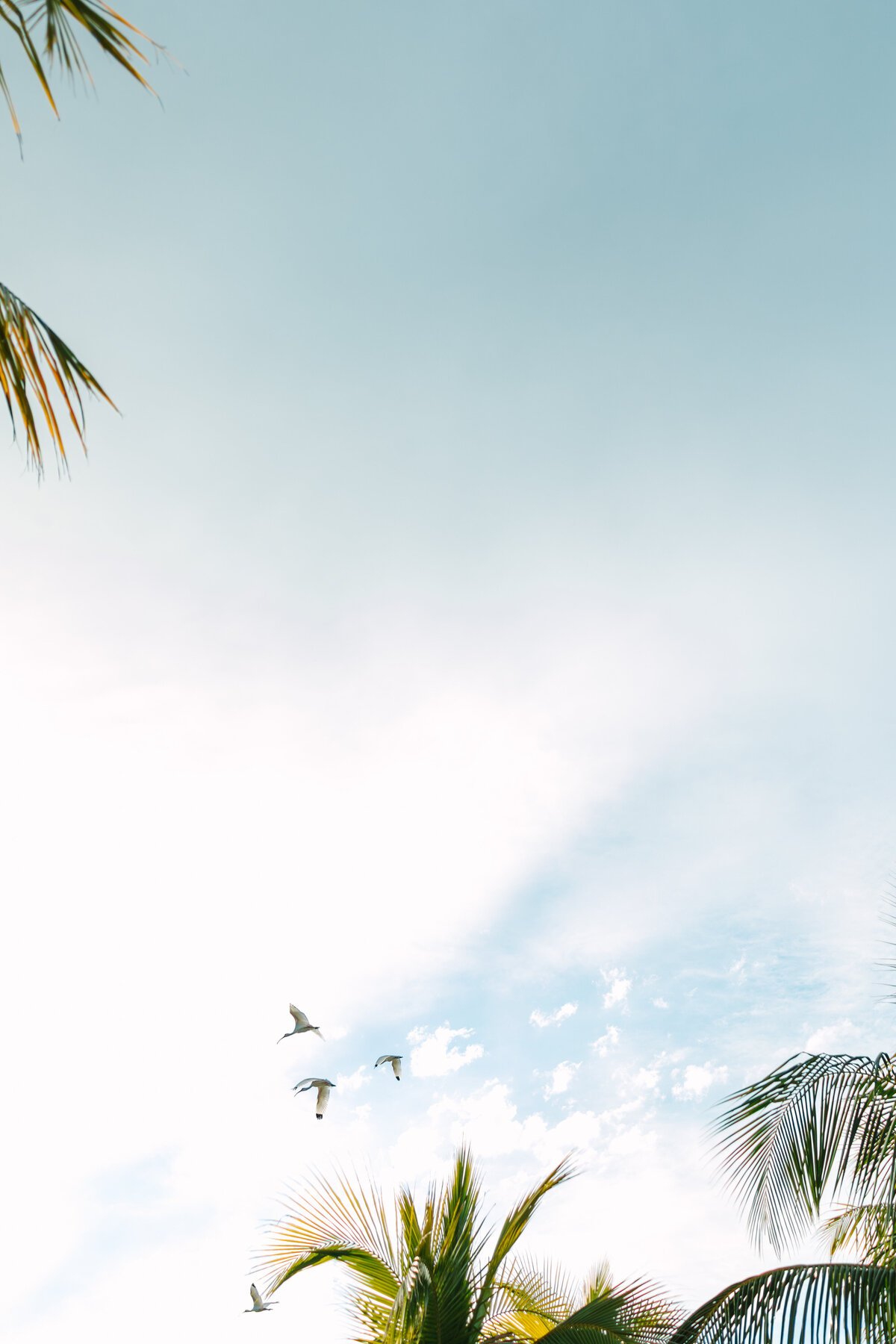 taylapaigephoto-K+KKeyLargo-707