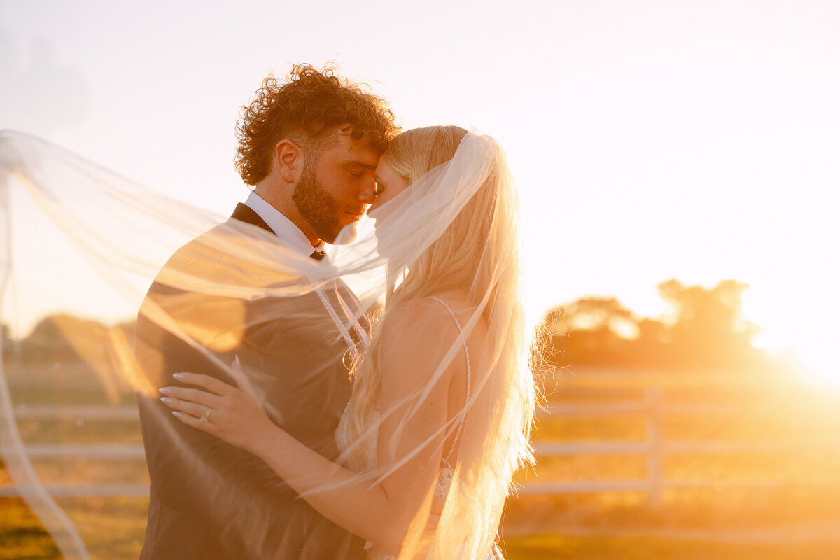 Couple beneath a veil at sunset