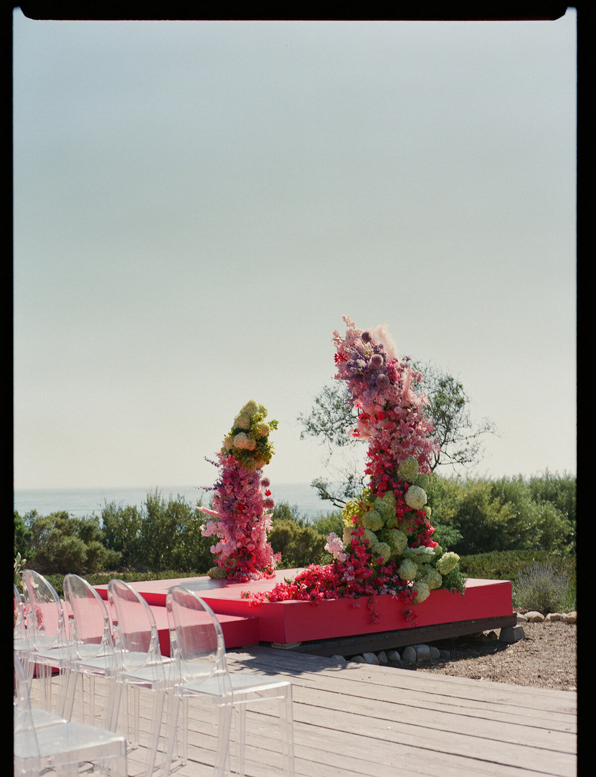 Cierra_Roman_Dos_Pueblos_Orchid_Farm_Santa_Barbara_Sophie_Berard_Photography_film-235