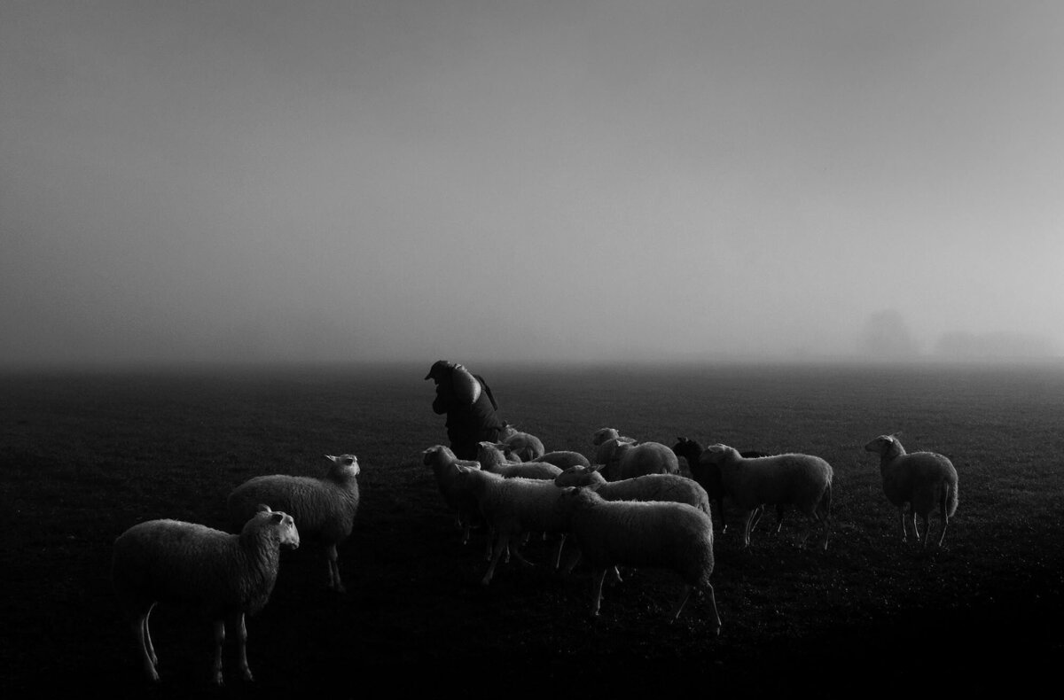 Bart Van der Moeren - De Stille Kempen - 004
