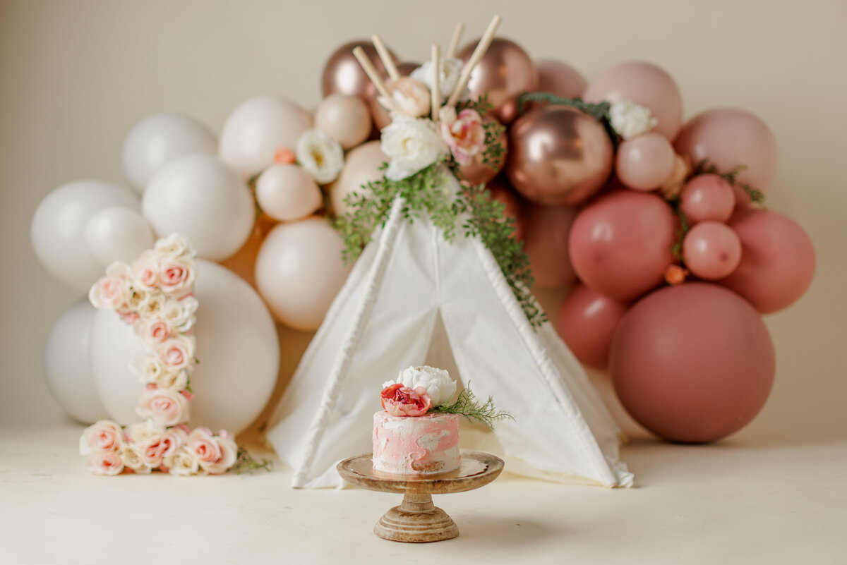 Huntsville AL Best Cake Smash First Birthday Photographer Studio