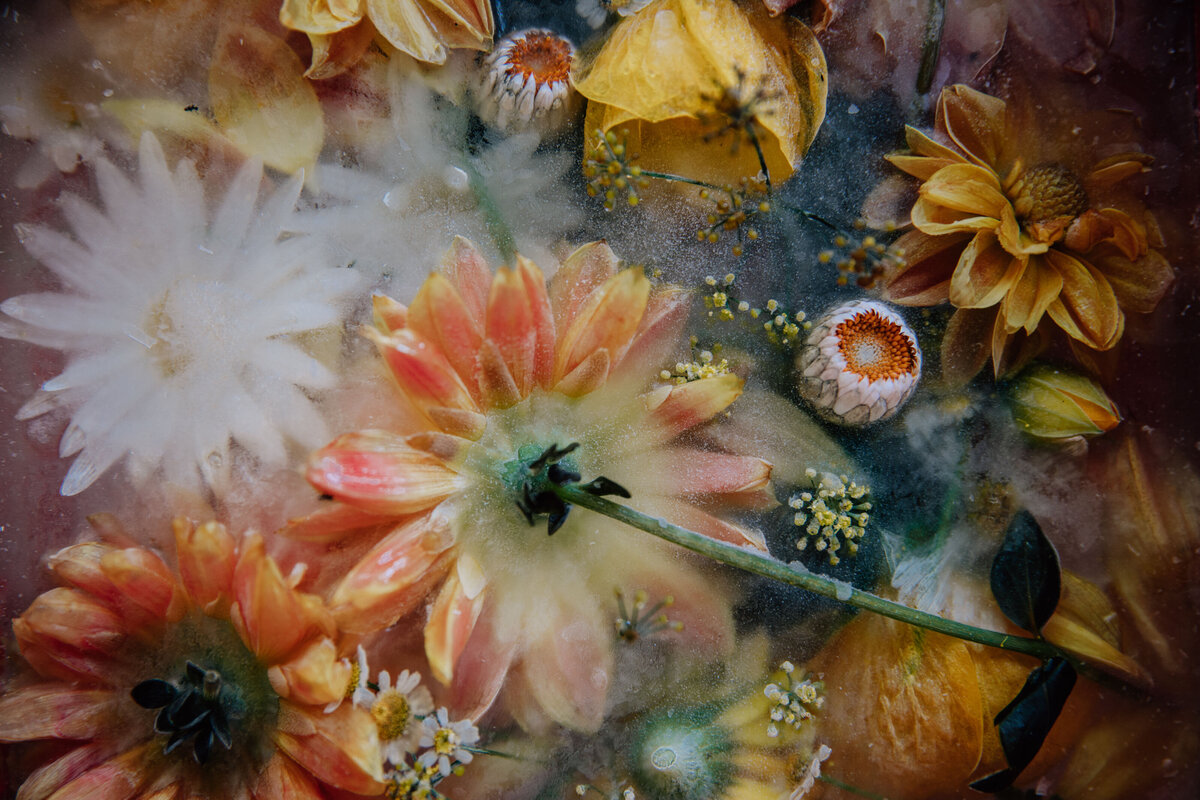 133_flowers_helloemilie