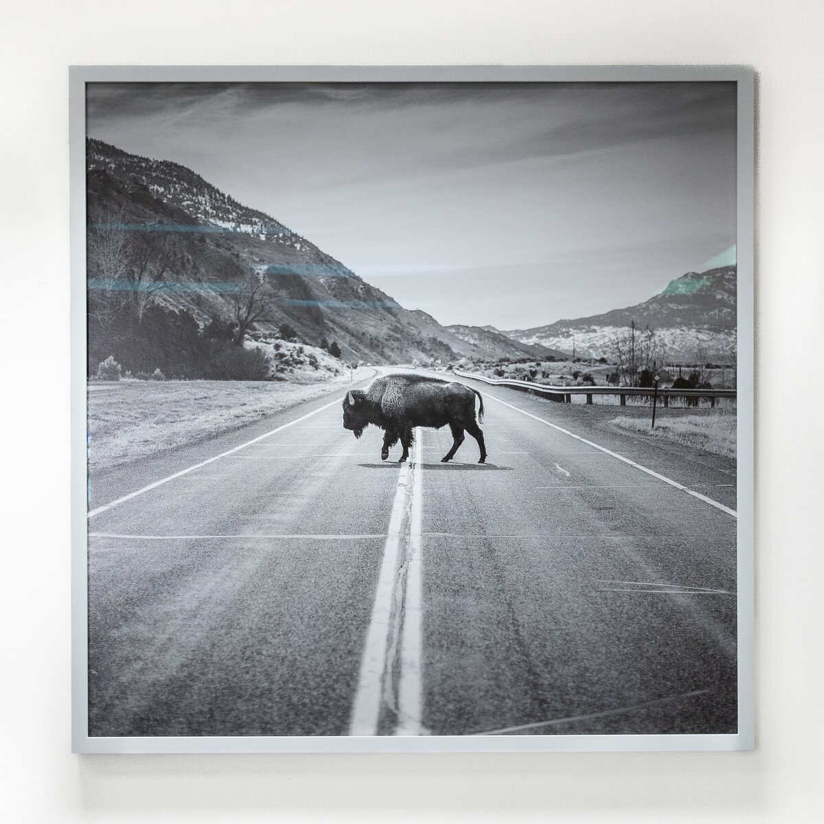 Denver photo printing