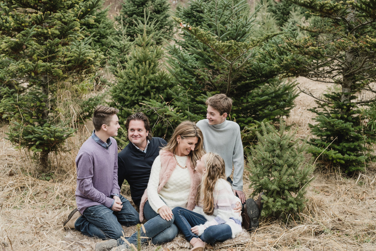 Addison Oaks Christmas Tree Farm Holiday Mini Session3