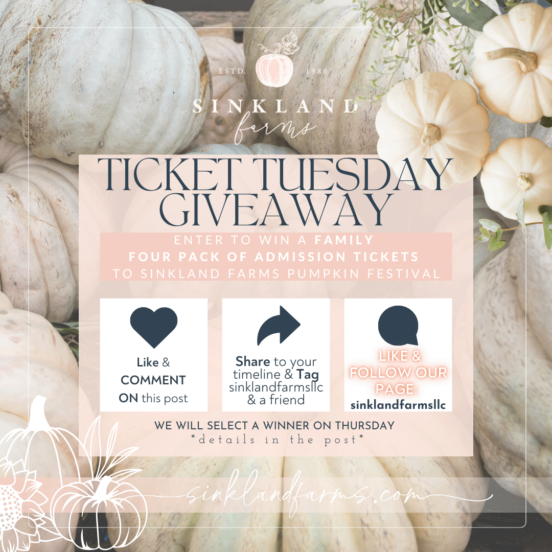 2024Sinkland-Farms_Pumpkin-Festival_Creative-Designs-by-Renee_Ticket-Tuesday