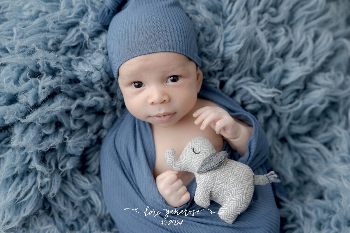 lehigh-valley-photographer-lori-generose-lg-photography-newborn-boy-palmer-pa