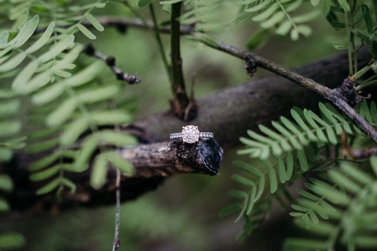 Phoenix-Engagement-Photographer (1)