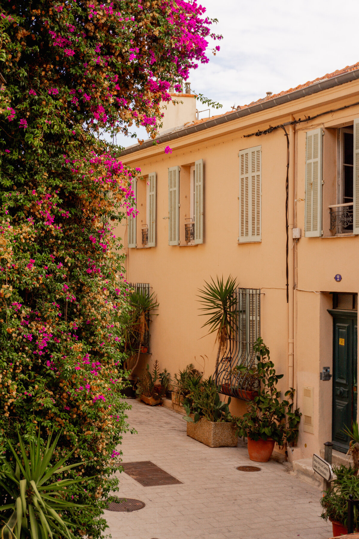 Cannes-15